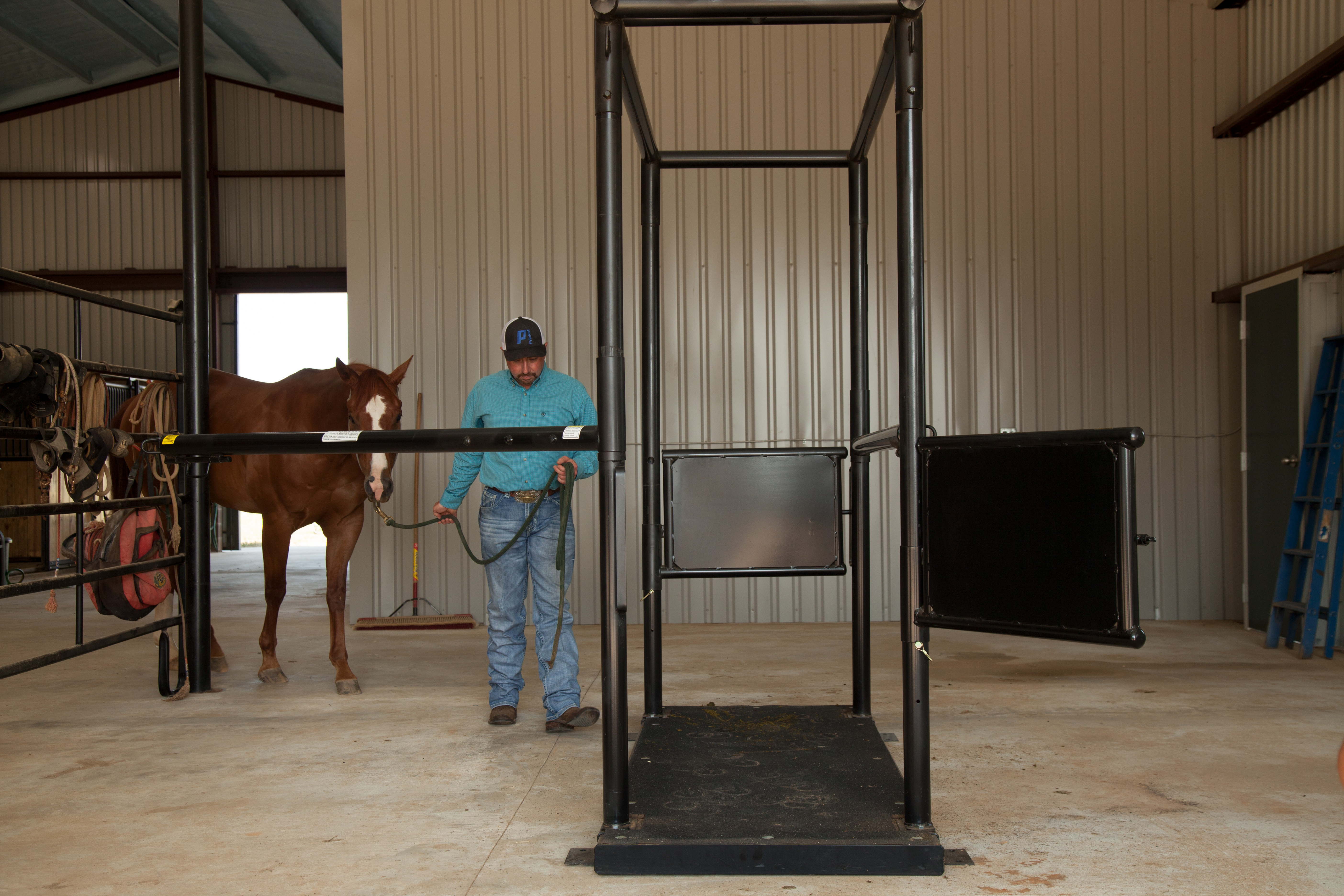 HS HorseStock Bynum 27.jpg